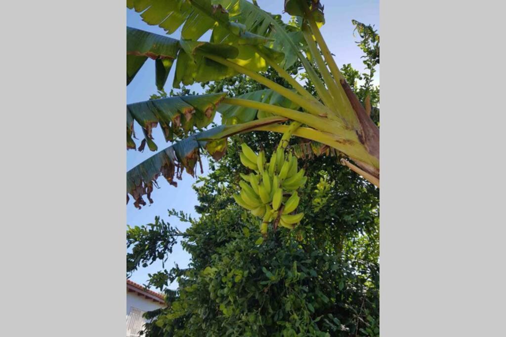 Apartamento Casa Rustica Torremolinos Exterior foto